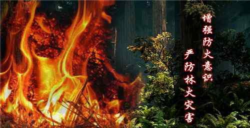云南森林防火网 云南天气：云南干季来临，全省森林防火期即将拉开序幕