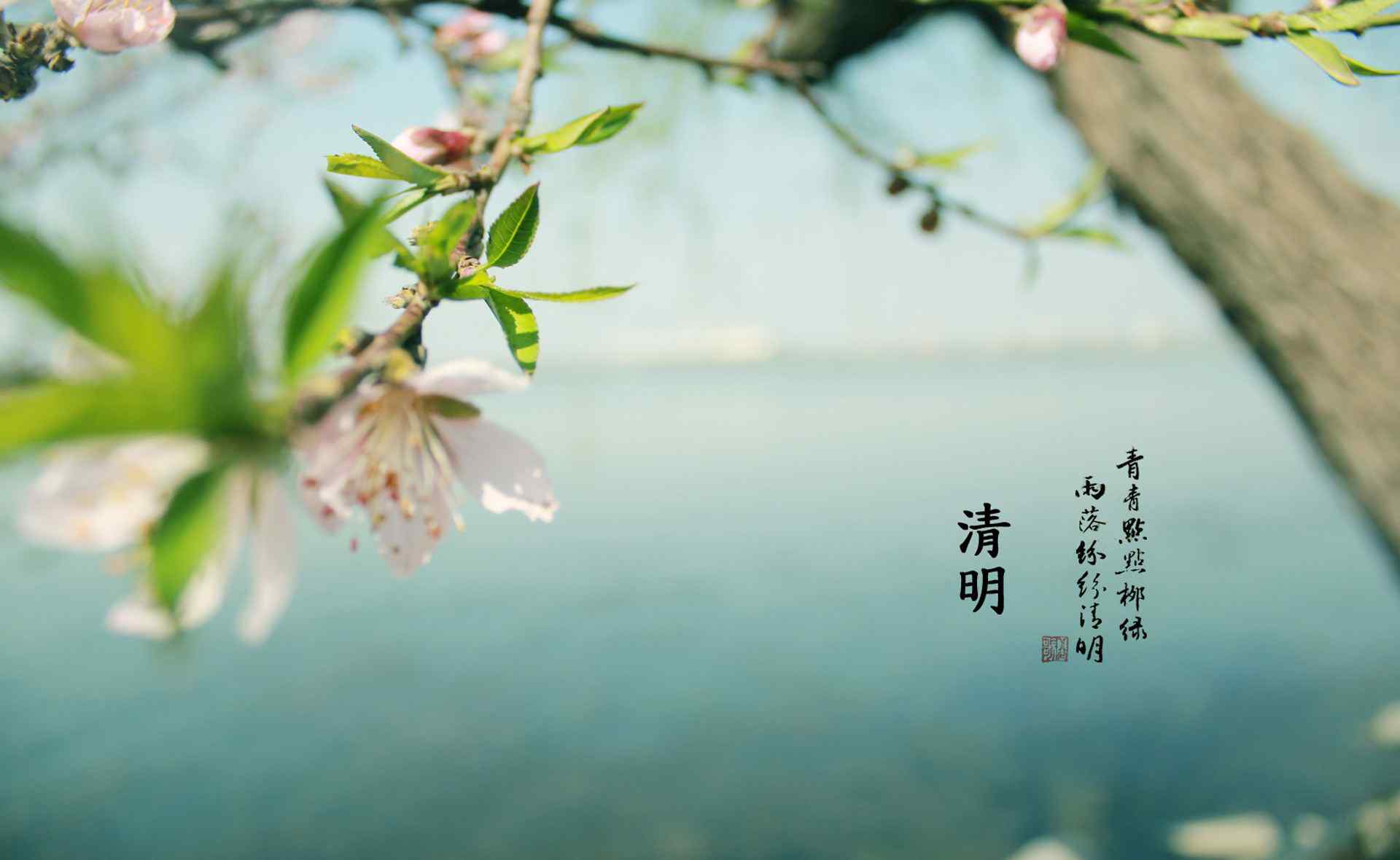 今年清明节几月几号 2018年清明节农历是几月几日？具体是几点几分？