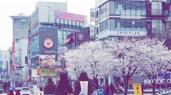 韩国面积人口 韩国面积有多大，韩国真的很小吗？人口又有多少？