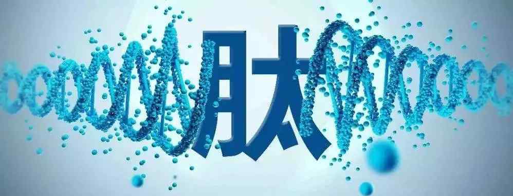 分子量测定 分子量分布检测，分子量第三方检测