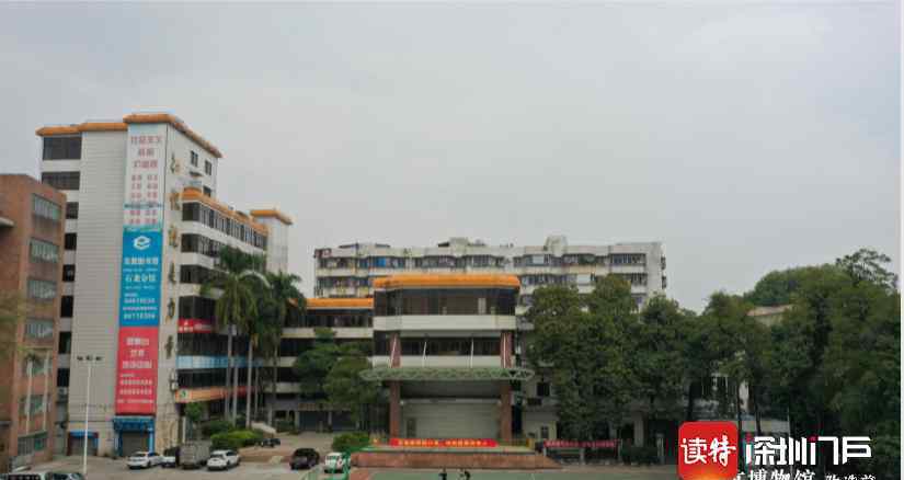 东莞石龙博物馆 中国举重协会特批：在东莞石龙建博物馆