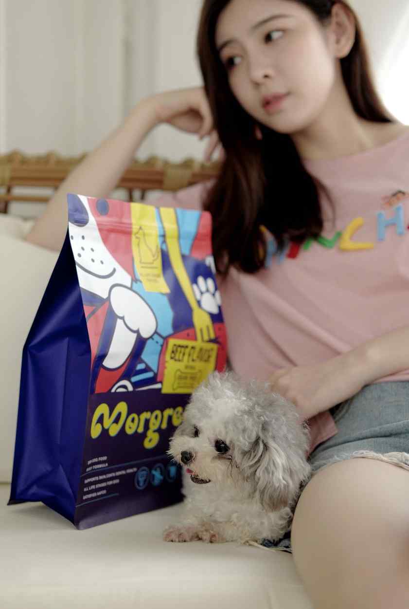 狗狗接飞盘 如何训练狗狗接飞盘？3个注意事项要记牢！