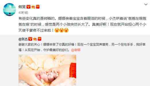 谢娜生了是真的吗 张杰宣布谢娜产下双胞胎女儿何炅祝福