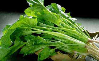 夏天吃什么菜好 夏季减肥吃什么蔬菜好？