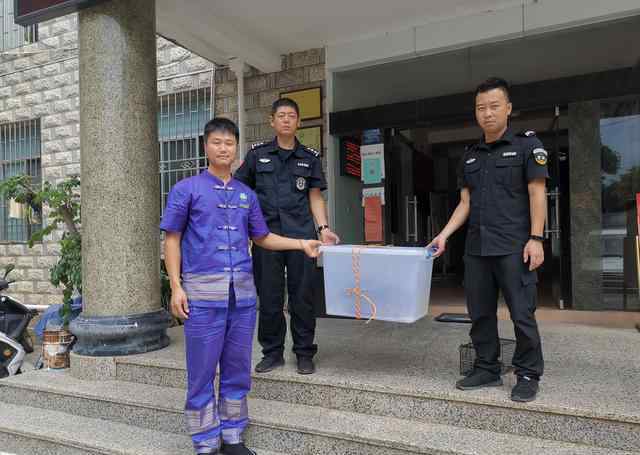 果子狸是保护动物吗 治庸 • 安边丨森、武警联合救助一只国家 "三有"保护动物——果子狸