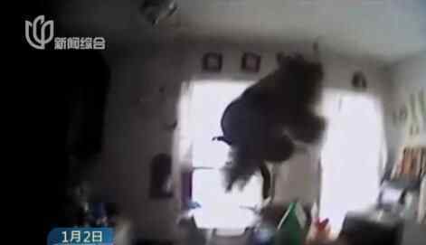 警察缉拿松鼠小偷 盗窃之人到底是谁？