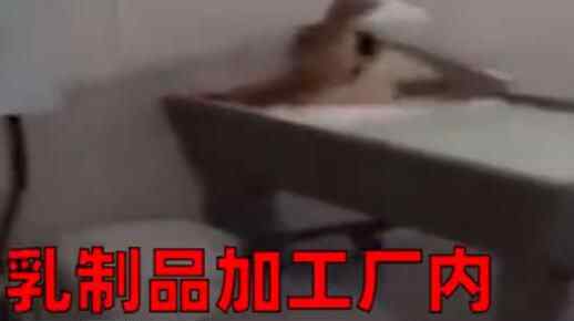 乳制品员工坐进牛奶大锅洗牛奶浴 画面曝光网友气炸真相简直太气人