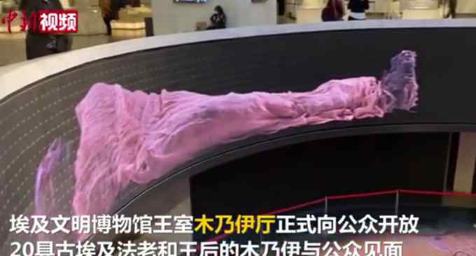 20具古埃及法老王后木乃伊展出 网友：太神秘了！