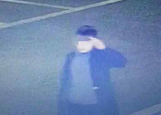 行窃后向监控敬礼 盗窃真相简直让人气愤