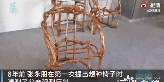 山东小伙用8年种出天然椅子 还原事发经过及背后真相！