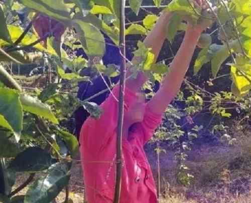 百香果女童遇害案被告获死刑 百香果女孩案是怎么回事