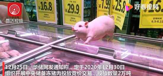 2万吨中央储备冻猪肉在路上 具体怎么回事