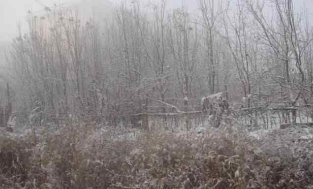 乌鲁木齐下雪 乌鲁木齐天气：气温将起伏 周末南山可能下雪