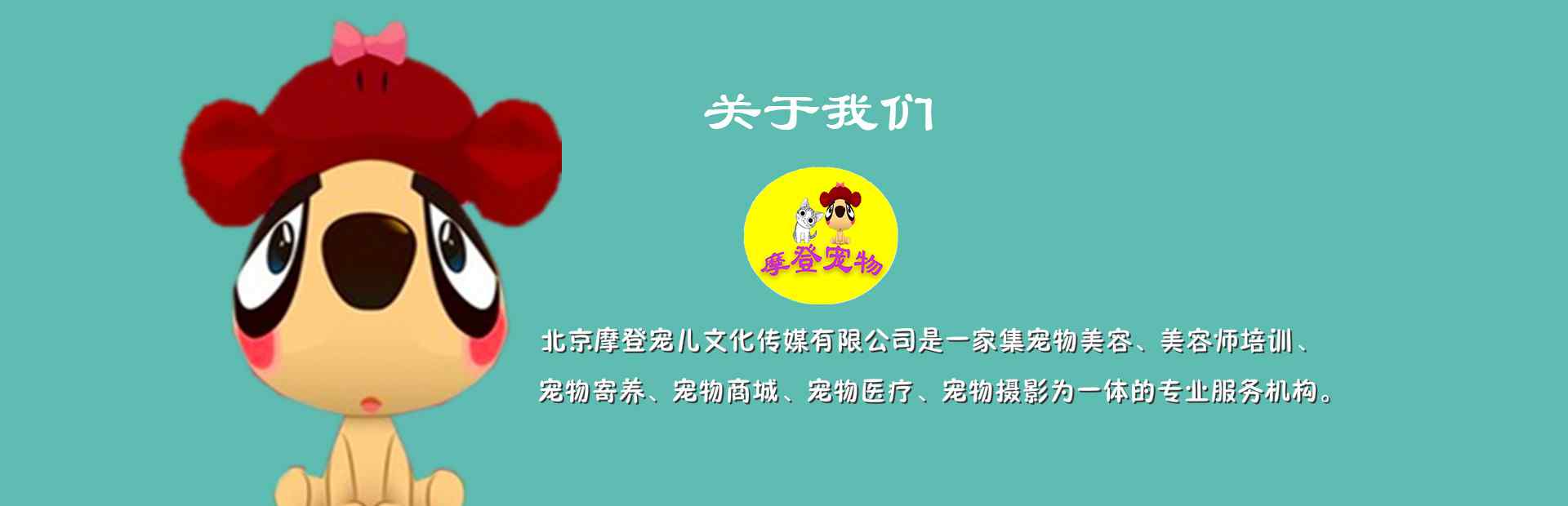 宠物美容师培训学校 北京宠物美容师培训学校哪家好