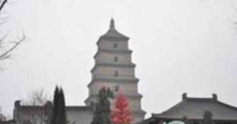 小伙景区亢奋脱衣 原因是这样实在让人不忍直视