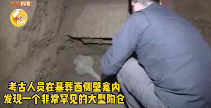 规模罕见！陕西汉代陶仓发现满仓粮食 网友：给袁隆平爷爷一把