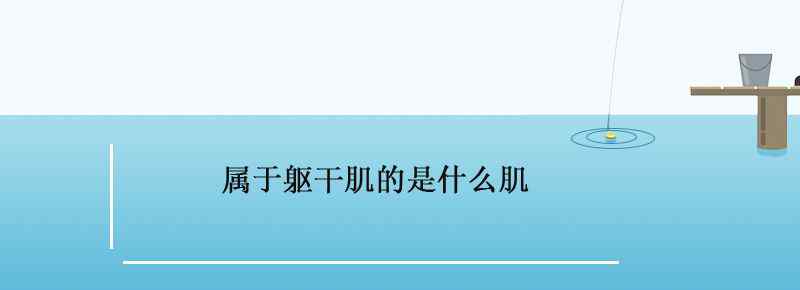 属于躯干肌的是什么肌