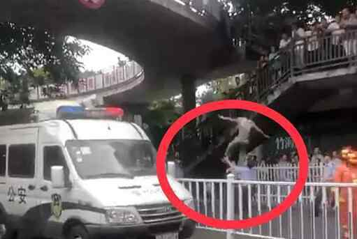 警察徒手接跳桥者 背后真相简直太感人