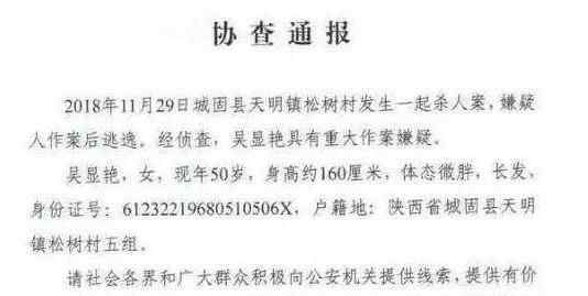 天明镇杀人案事件原因 吴显艳女子为何杀人？