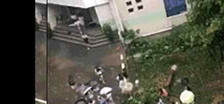 高校老师被树砸倒 为什么被砸？