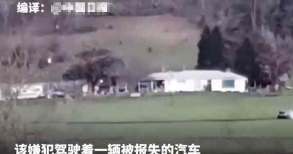 美农场警匪大片 为什么发生枪战究竟是怎么回事？