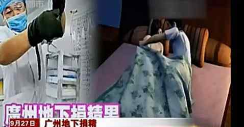 直接捐精 开什么玩笑！广州地下捐精者直接与求孕女发生性关系