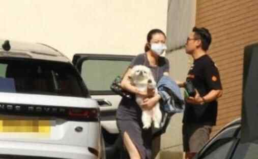 熊黛林怀双胞胎女 为什么怀两个？