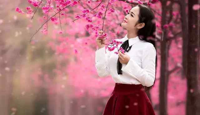 一枝桃花画 一枝桃花