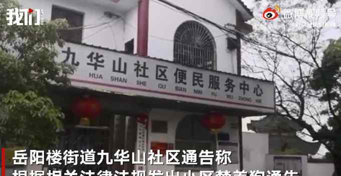 社区要求业主十日内自行捕杀狗？社区书记：一年内有6人被咬 通告已撤