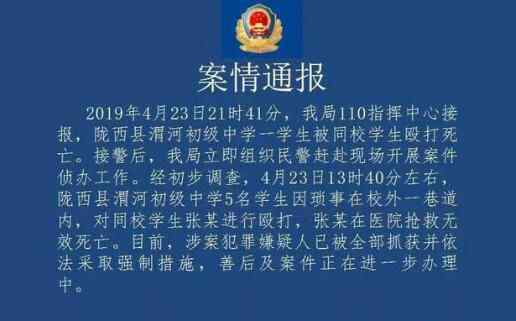 初中生遭同学殴打致死5人被抓 背后真相太惊人