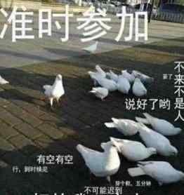 约同事辞职被放鸽子 这也太气人了吧