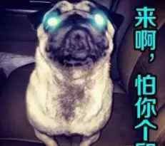 经销商好还是代理商好 生意经！做经销商好还是代理商好？