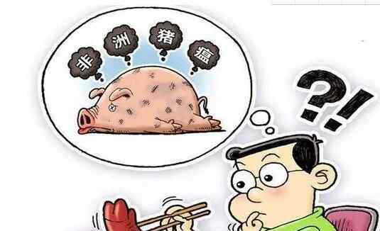 北京通州非洲猪瘟 究竟情况怎么样？