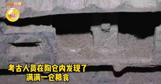 规模罕见！陕西汉代陶仓发现满仓粮食 网友：给袁隆平爷爷一把