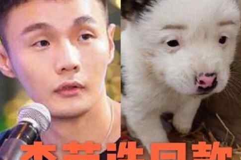 李荣浩同款狗狗 画面简直不忍直视