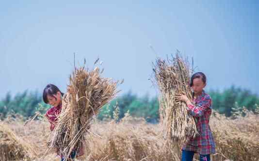 双胞胎撑起整个家 原因是这样实在不容易了