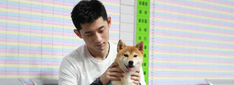 张继科领养小盆是什么节目