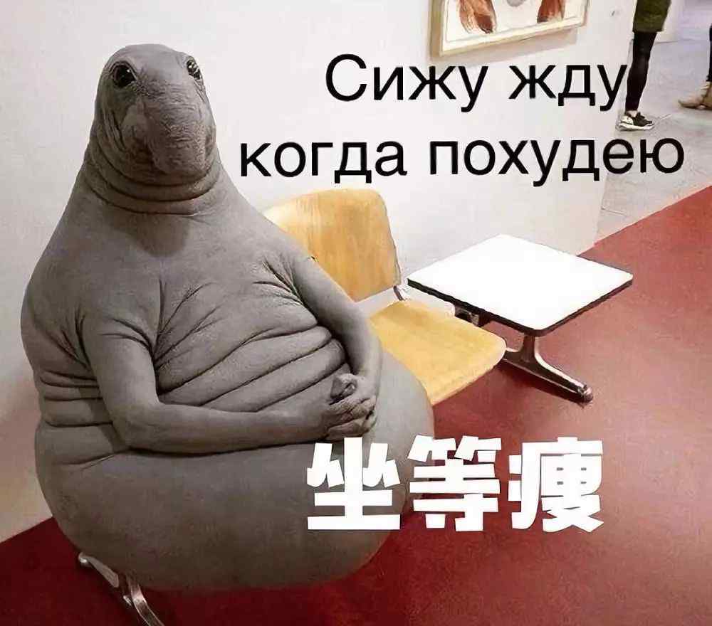 坐等表情包 表情包分享：坐等瘦！