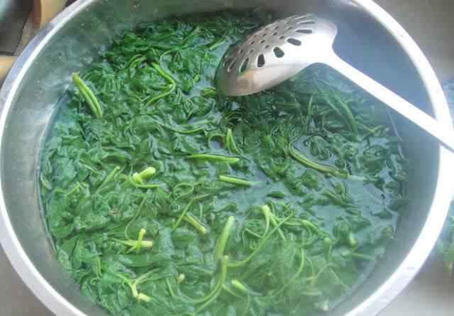 刺嫩芽怎么吃 猪肉野菜馅包子的做法 猪肉野菜馅包子做法步骤图解