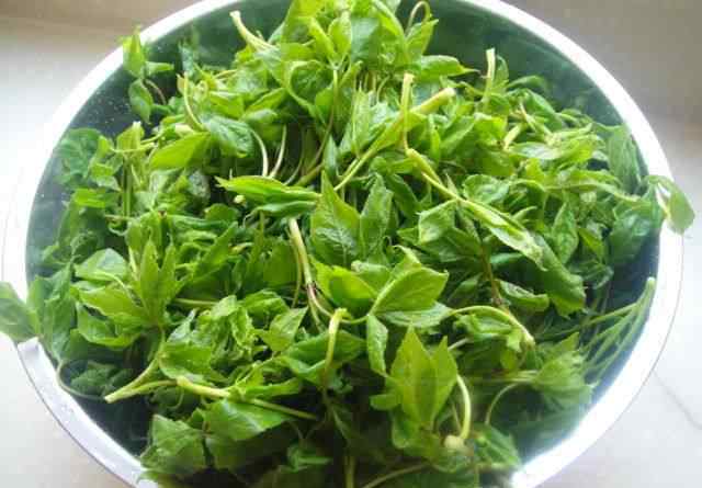 刺嫩芽怎么吃 猪肉野菜馅包子的做法 猪肉野菜馅包子做法步骤图解