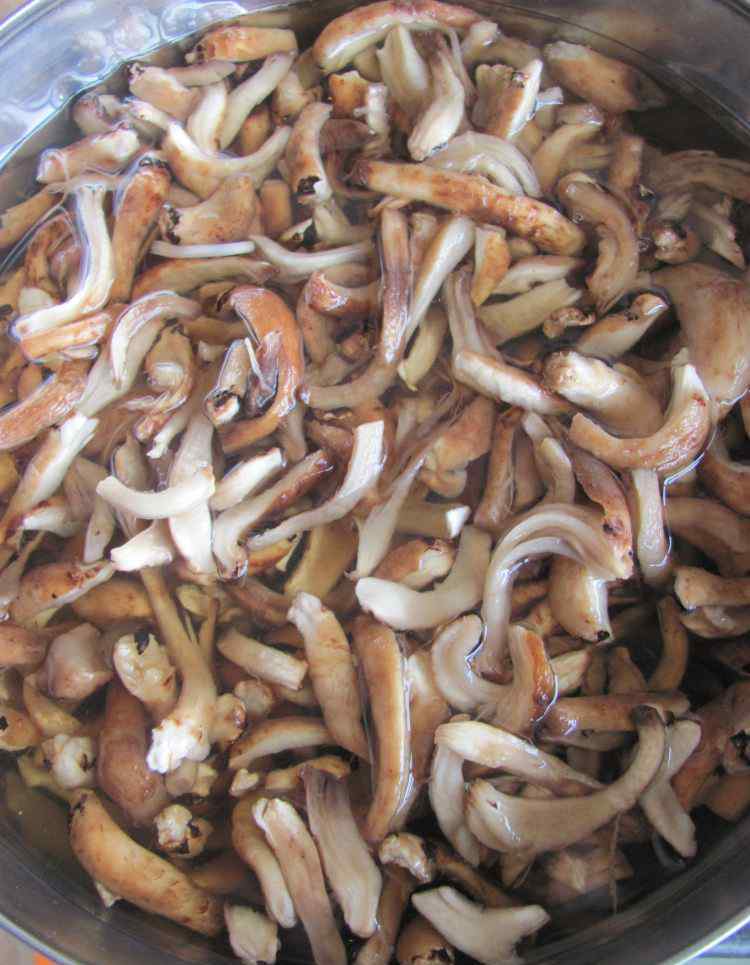 干蘑菇怎么做好吃 油浸蘑菇的做法 油浸蘑菇做法详细步骤