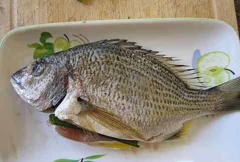 海鱼的做法大全 清蒸海鱼简单又好吃的做法 清蒸海鱼食谱简单做法
