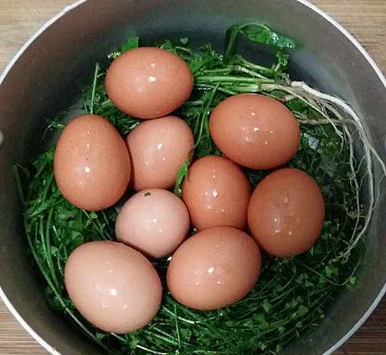 荠菜花图片 荠菜花煮鸡蛋怎么做好吃 荠菜花煮鸡蛋做法和材料