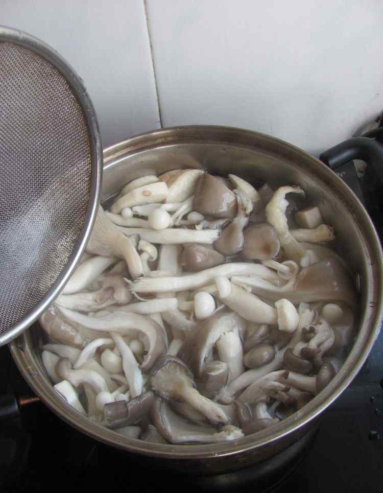 秀珍菇的做法 蚝油烩杂菌的详细做法 蚝油烩杂菌做法及配料
