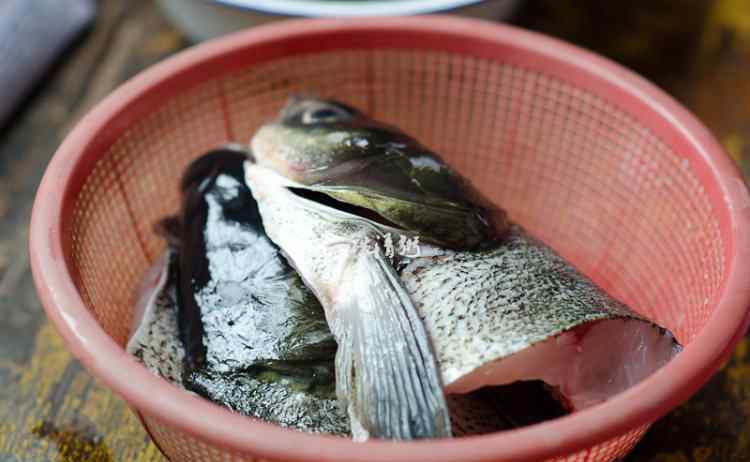 鱼汤的做法大全 鱼头豆腐汤的做法 鱼头豆腐汤做法详细步骤