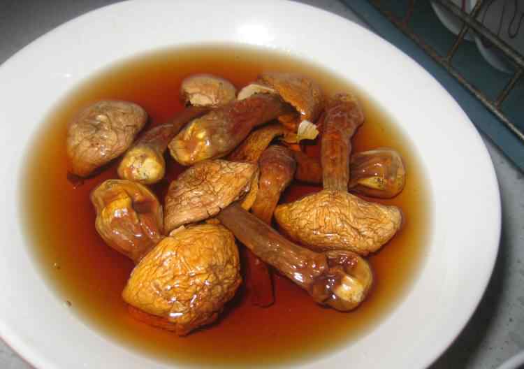 松茸菇的做法 松茸瘦肉汤的家常做法 松茸瘦肉汤做法详细步骤
