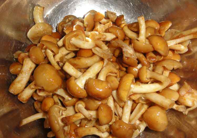 滑子蘑的做法 肉炒滑子蘑的简单做法 肉炒滑子蘑做法及配料文章配图