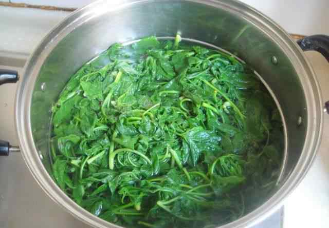 刺嫩芽怎么吃 猪肉野菜馅包子的做法 猪肉野菜馅包子做法步骤图解