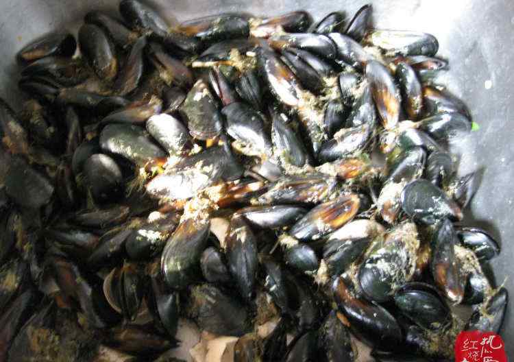 海虹怎么做 蒜蓉蒸海虹配方 蒜蓉蒸海虹做法和材料