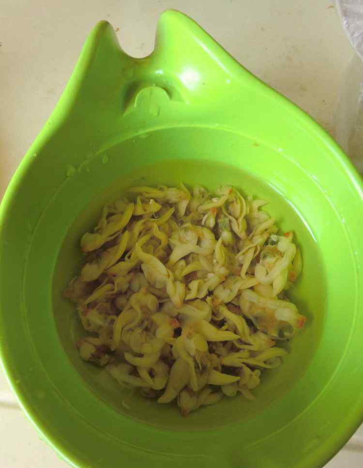 葫芦瓜怎么做好吃 韩式干贝海带大酱汤的简单做法 韩式干贝海带大酱汤食谱做法大全